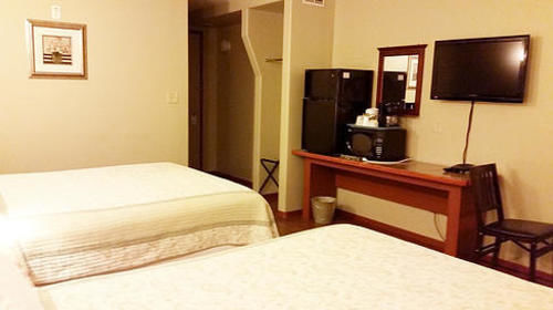 Hotel Queen Bee